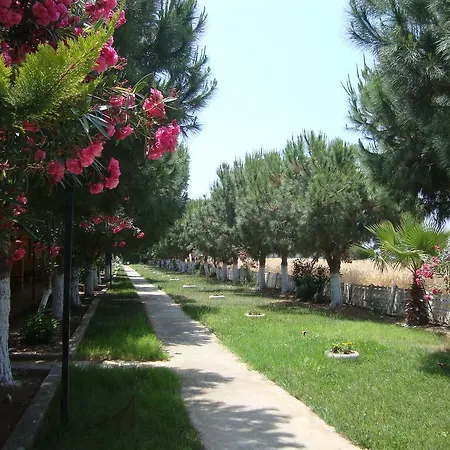 Hotel Koru Beach Club 4*