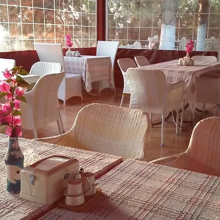 Hotel Koru Beach Club