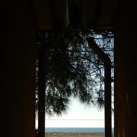 Koru Beach Club 4*