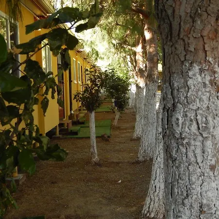 Koru Beach Club Hotel