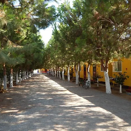 Koru Beach Club