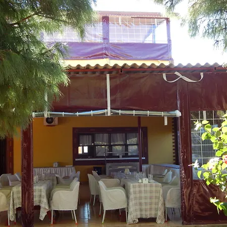 Hotel Koru Beach Club